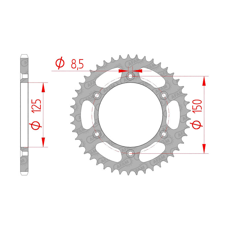 AFAM SPR.RR.KTM 48T 54610051-48 (71304-48). 71304-48