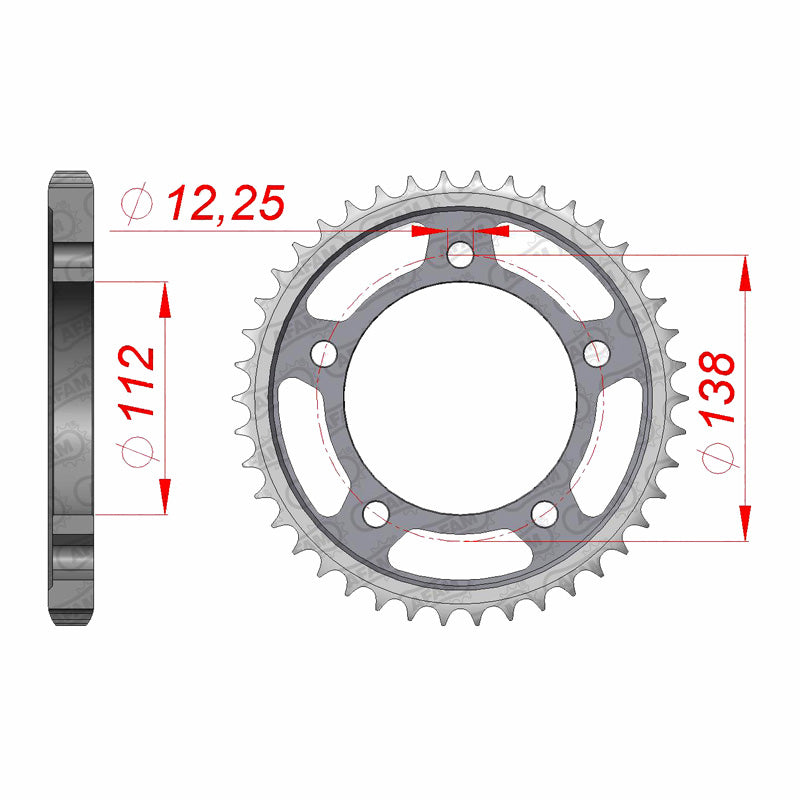 AFAM SPR.RR.43T VTR1000 97-05/919 02-06. 10508-43