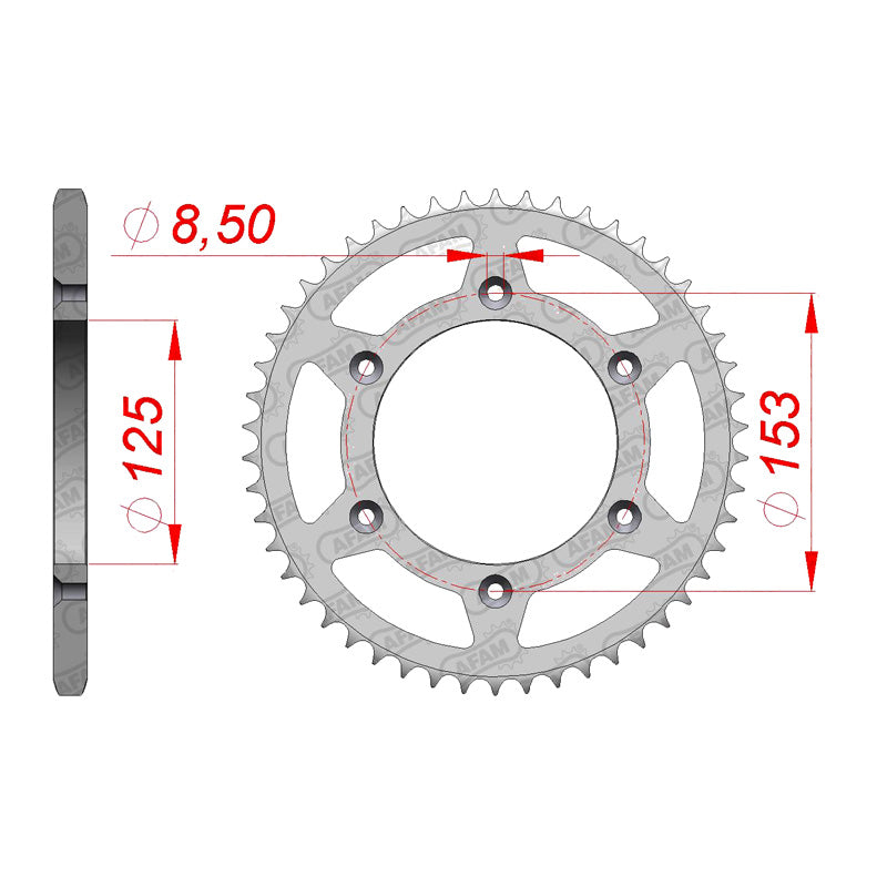 AFAM SPR.RR.CR125/250/500 83-2000 51T. 10212-51