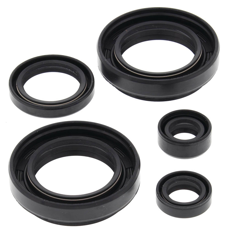 VERTEX OIL SEAL KIT 822234