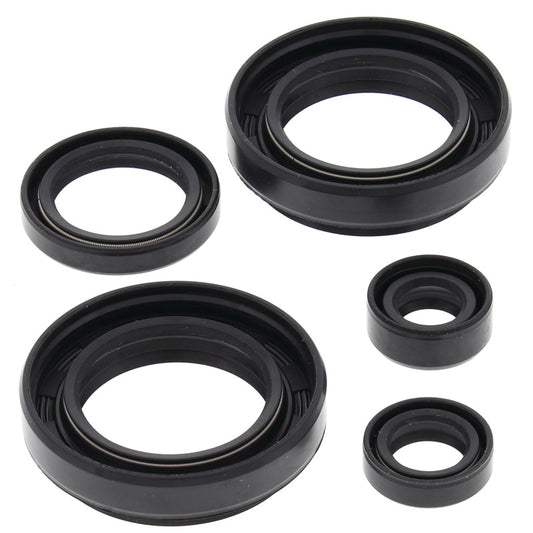 VERTEX OIL SEAL KIT 822234