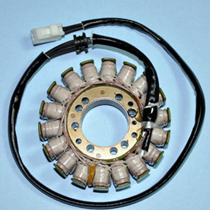 RICK'S MOTORSPORT STATOR TRIUMPH TIGER 1050 07-10 21-014