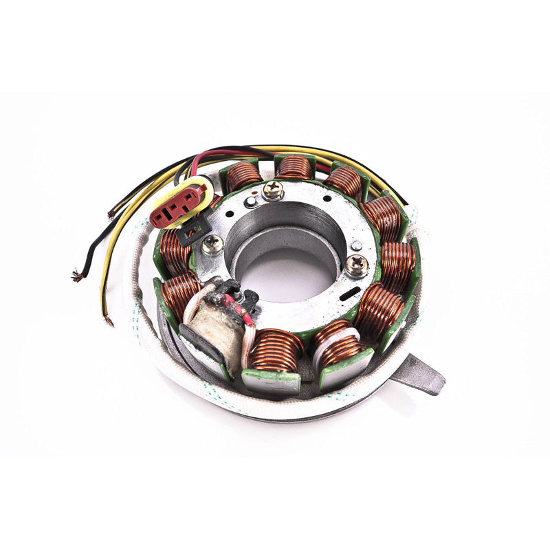 RICK'S MOTORSPORT STATOR FREE STYLEEXPEDITIONTOURINGSKANDIC 99-10 420889366