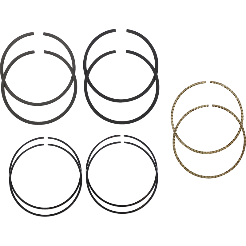 HASTINGS 99-06 88"TWIN CAM RINGS STD (PR) HASTIN 2M4942