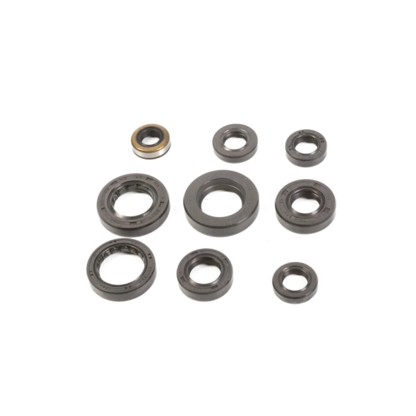 VERTEX OIL SEAL KIT HON VERTEXWINDEROSA 822341