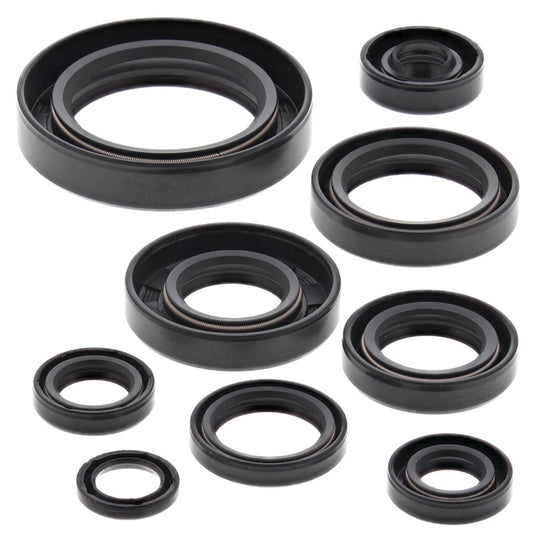 VERTEX OIL SEAL KIT 822109