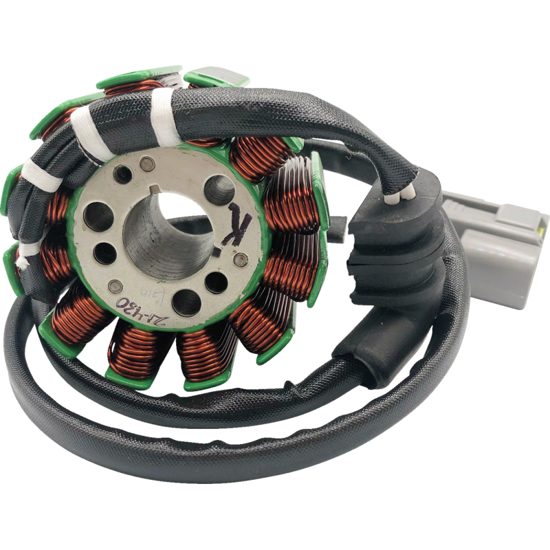 RICK'S MOTORSPORT ELECTRIC STATOR YAMAHA 21-430