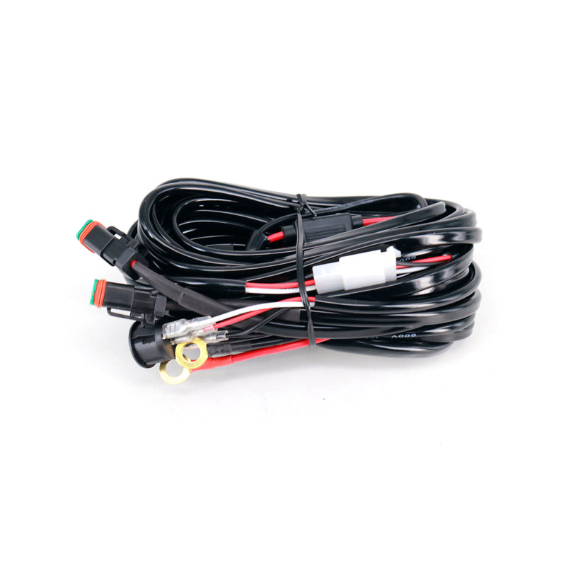 TOXIC ONE TO TWO WIRING GROUP TWO PIN DT PLUG 1616031