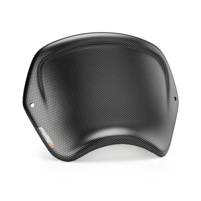 PUIG FRONT PLATE HARLEY DAVIDSON SPORTSTER IRON C/CAR 1351C