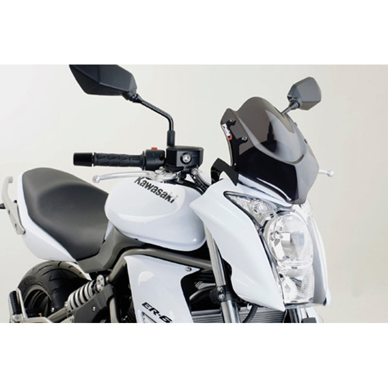 PUIG SPORT WS ER6N 09-10 D SMOKE 4950F