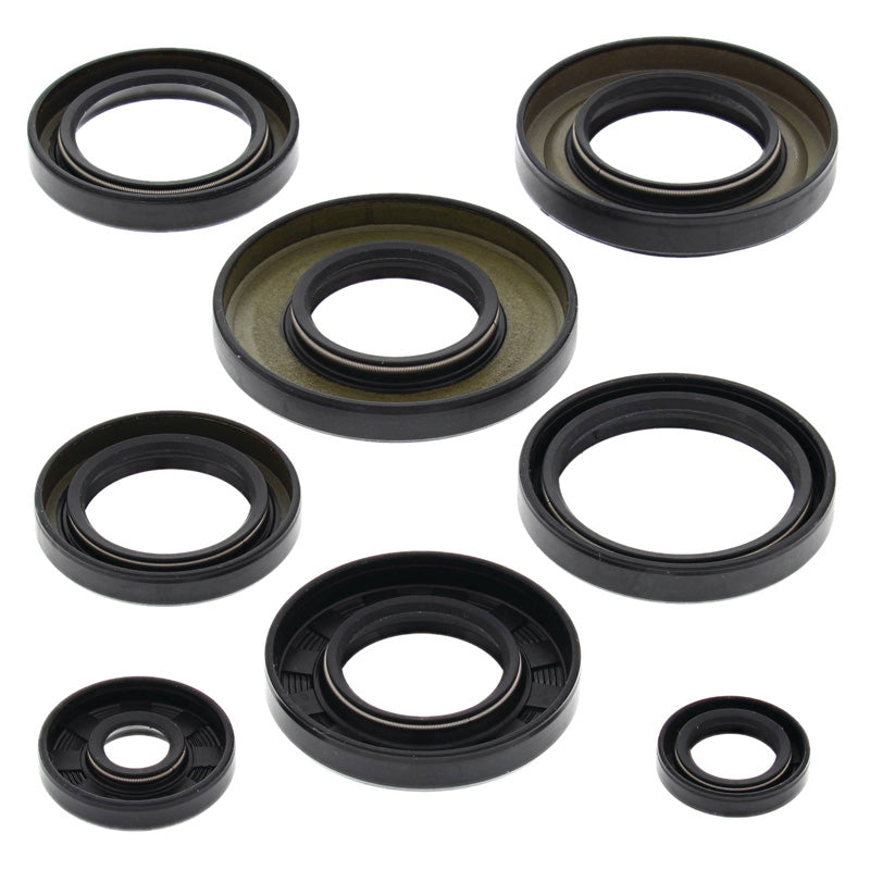 VERTEX OIL SEAL KIT 822253