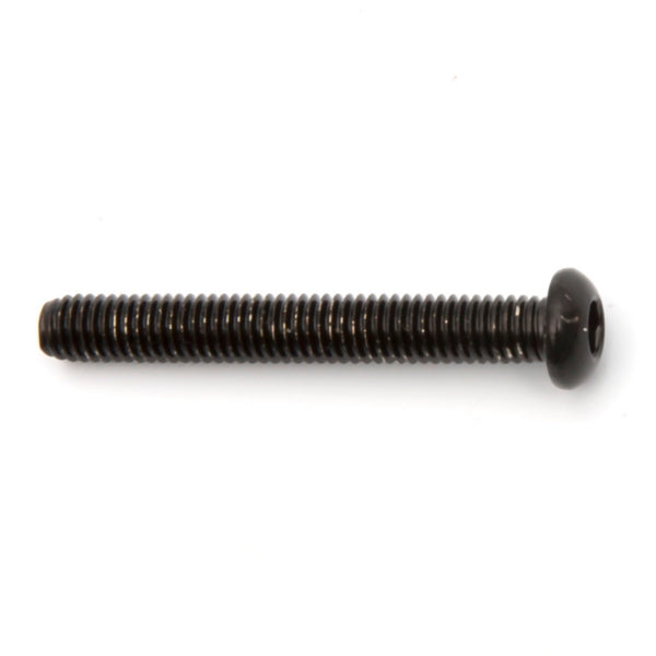 DIRECTION 2 BUTTON HEAD SCREW M6 X 45  SS BK 175411