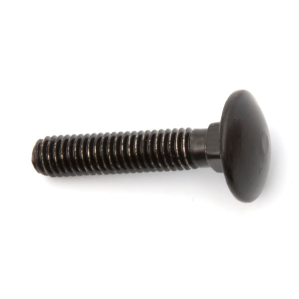 DIRECTION 2 CARRIAGE BOLT M6 X 30  SS-BK 175413