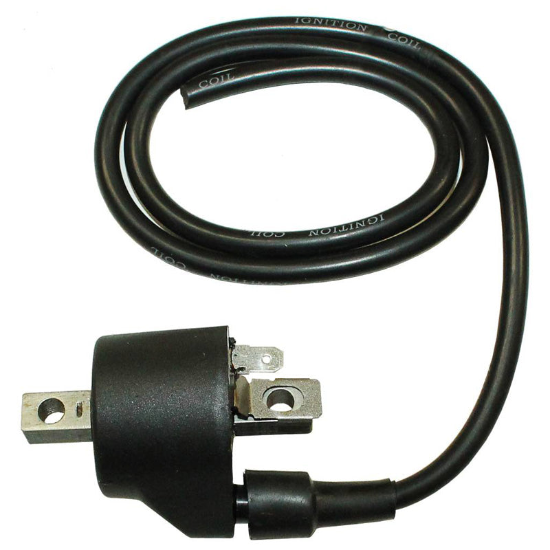 ITL IGNITION COIL 18140153