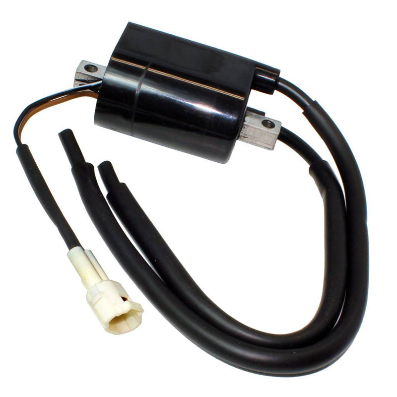 ITL IGNITION COIL 18140225