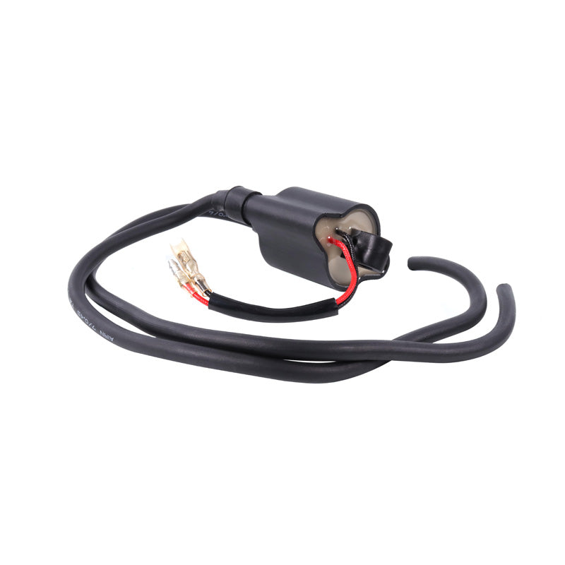ITL IGNITION COIL 18440023