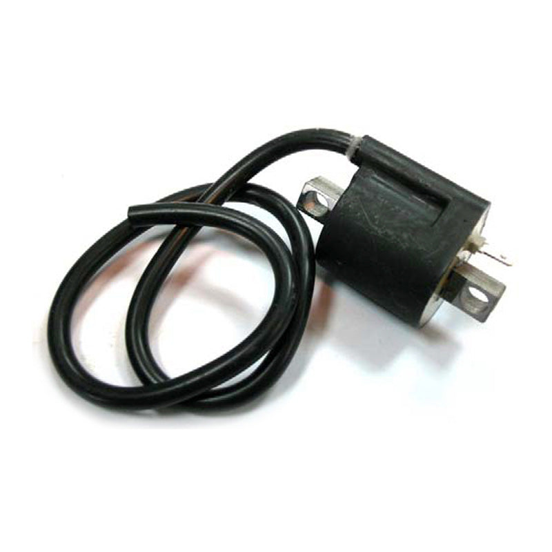 ITL IGNITION COIL 18440024