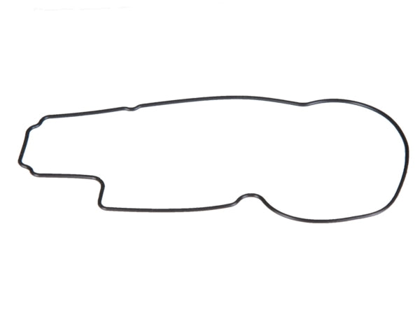 SIERRA FLOAT CHAMBER GASKET 18-0715