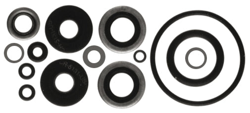 SIERRA LOWER UNIT GASKET KIT 18-2656