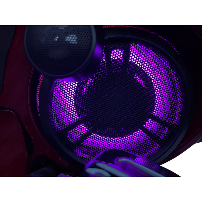 CUSTOM DYNAMICS LIGHT PRGLW LED SPKR TPAK (PR) PG-SPEAKER-R-1