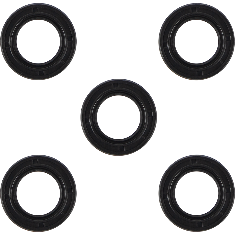 JAMES GASKET 80-86 B/T STR HOUSING SEAL BELT (5) JGI-31341-80DL