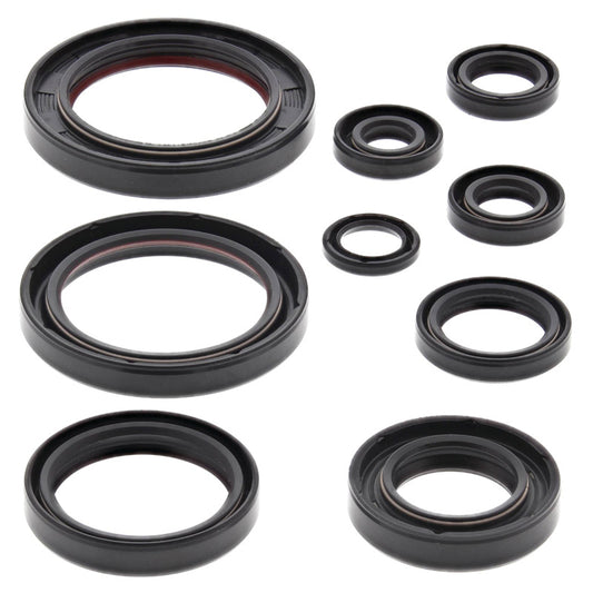 VERTEX OIL SEAL KIT 822352