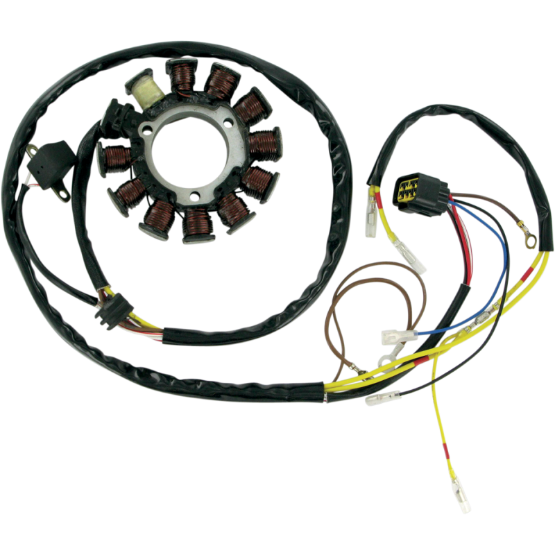 RICK'S MOTORSPORT ELECTRIC NEW OEM STYLE POLARIS STATOR 21-556