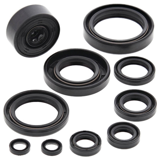 VERTEX OIL SEAL KIT 822115