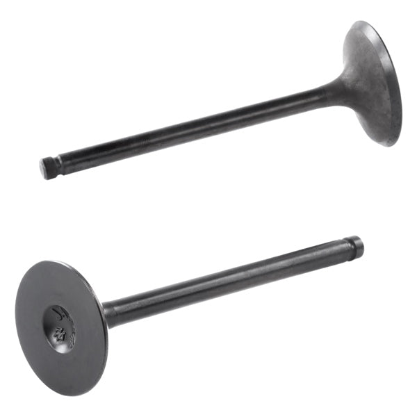 SHINDY INTAKE VALVE SUZ SHINDY QTY2 07-205