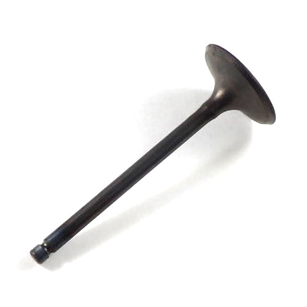 SHINDY INTAKE VALVE POL SHINDY 14-402A