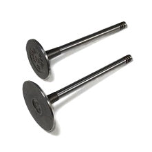 SHINDY ENGINE VALVE SET C-AM SHINDY 07-471