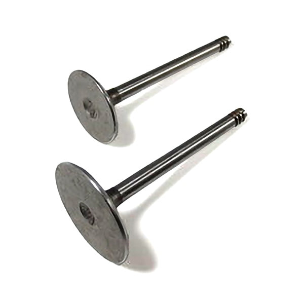 SHINDY ENGINE VALVE SET POL SHINDY 07-472