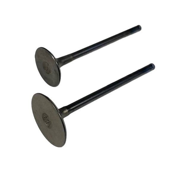 SHINDY ENGINE VALVE SET POL SHINDY 07-406