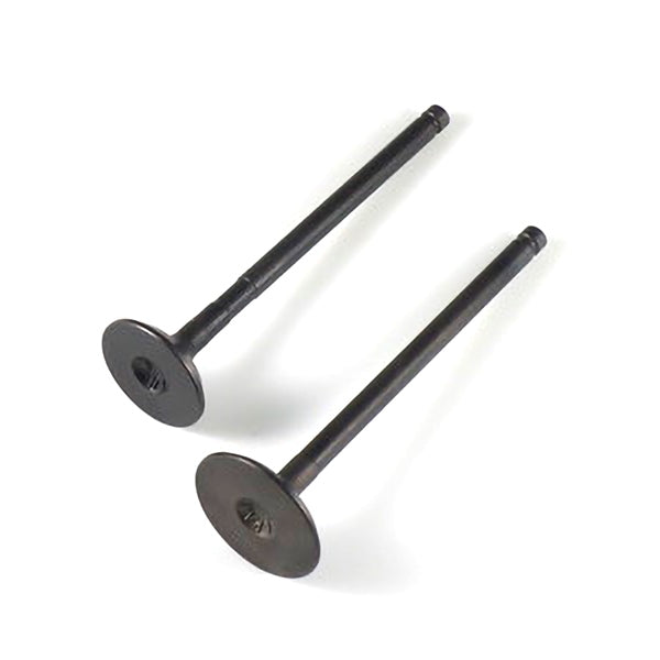 SHINDY ENGINE VALVE SET POL SHINDY 07-401
