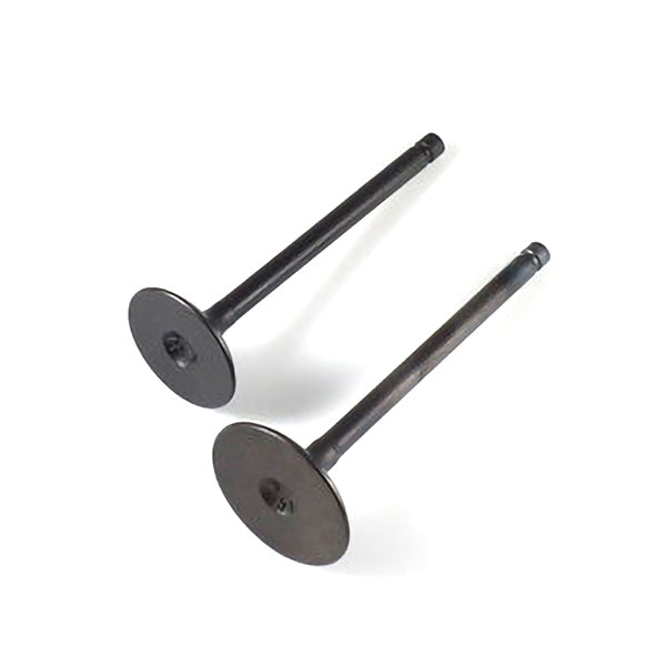 SHINDY ENGINE VALVE SET POL SHINDY 07-402