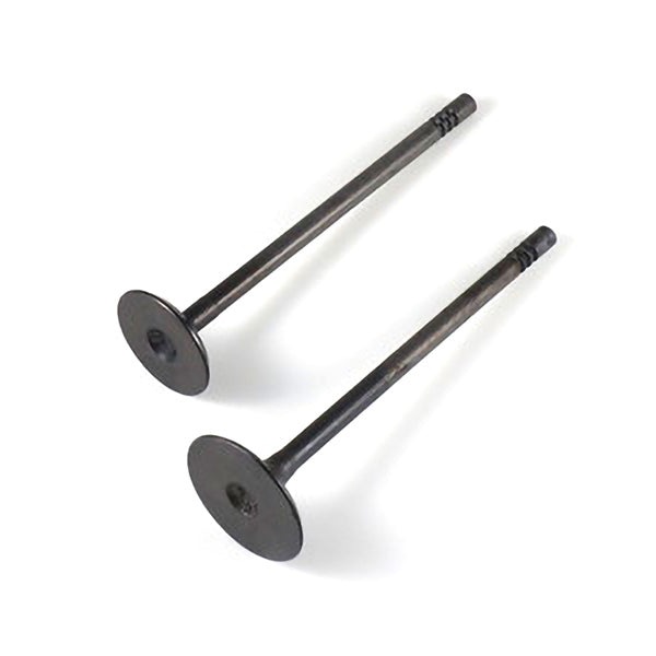 SHINDY ENGINE VALVE SET POL SHINDY 07-404