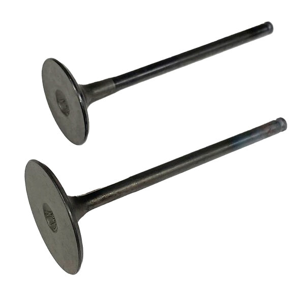 SHINDY ENGINE VALVE SET POL SHINDY 07-407