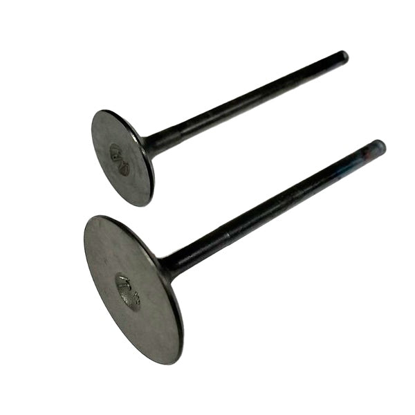 SHINDY ENGINE VALVE SET POL SHINDY 07-408
