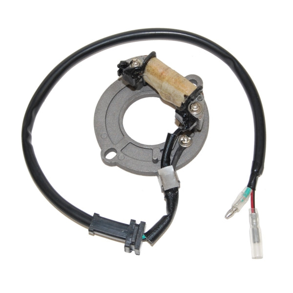 ELECTROSPORT STATOR HON ELECTROSPORT ESC1631