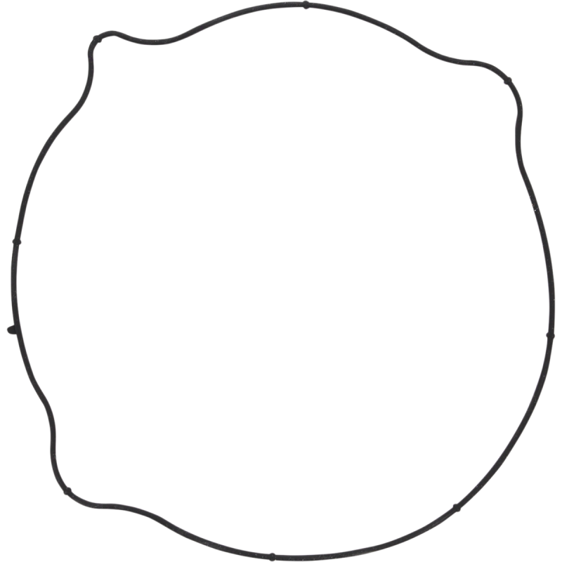 WINDEROSA OUTER CLUTCH GASKET KIT 817731