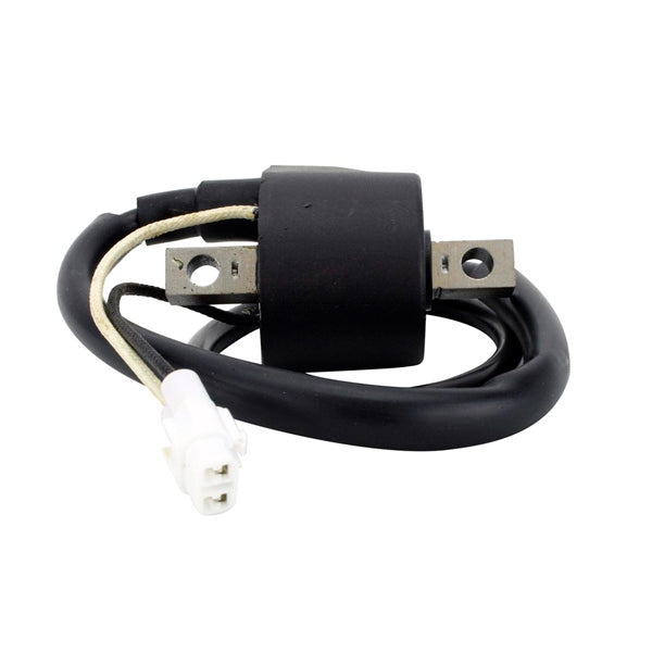 KIMPEX HD IGNITION COIL POL KIMPEXHD RM06067