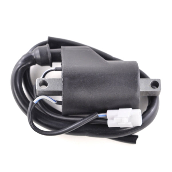 KIMPEX HD IGNITION COIL POL KIMPEXHD SF-060-001974