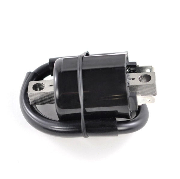 KIMPEX HD IGNITION COIL EXT YAM KIMPEXHD RM06112