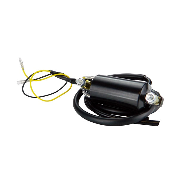 KIMPEX HD IGNITION COIL EXT UNIV 6V KIMPEXHD RMS060-104477