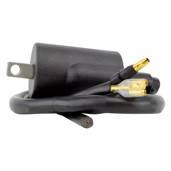 KIMPEX HD IGNITION COIL EXT HON KIMPEXHD RMS060-105868