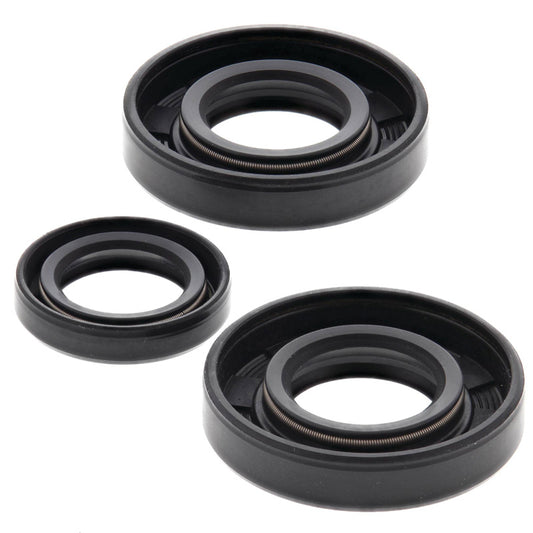 VERTEX OIL SEAL KIT 822184