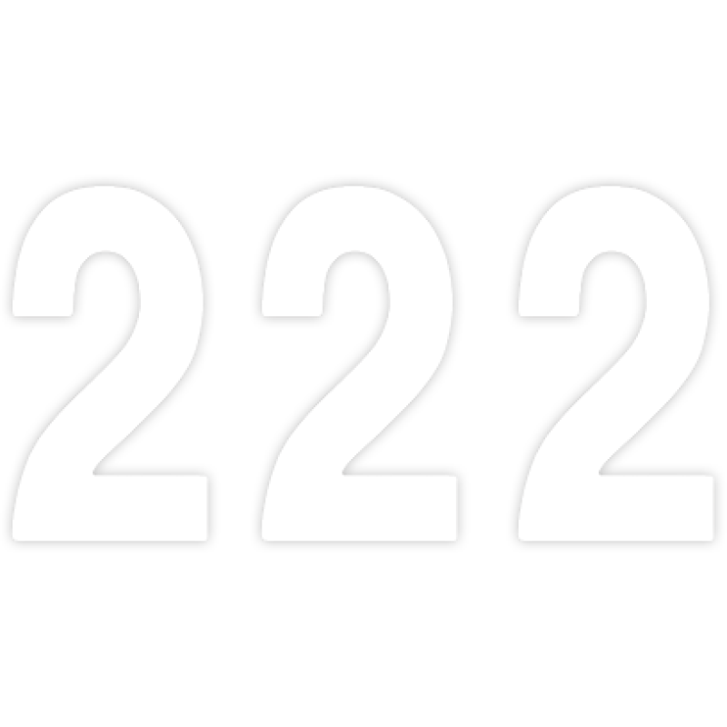 FACTORY EFFEX PRO 5" NUMBER WHITE #2 03-0202