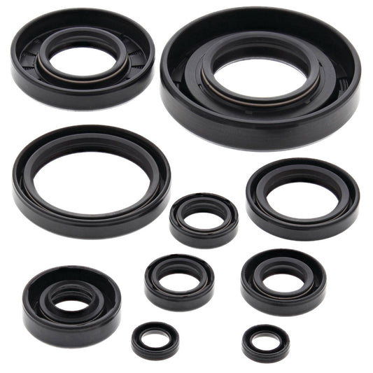 VERTEX OIL SEAL KIT 822174