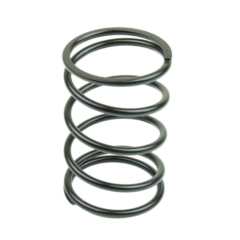 ATHENA VARIATOR SPRINGS .30KG HONDA DIO. 082096