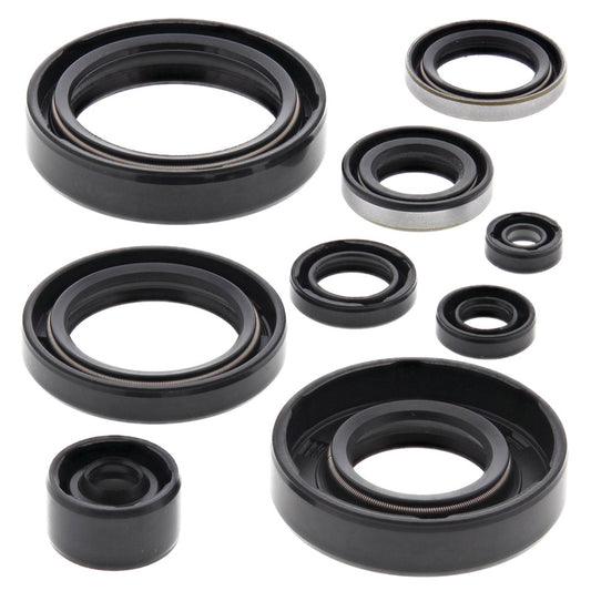 VERTEX OIL SEAL KIT 822294